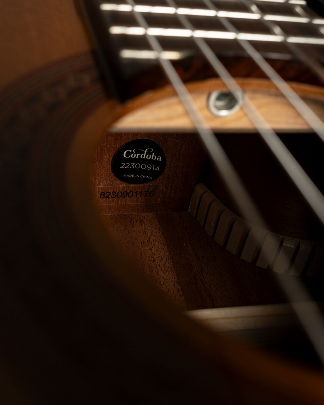 CORDOBA C5-CE NATURAL NYLON STRING - Newell's Music