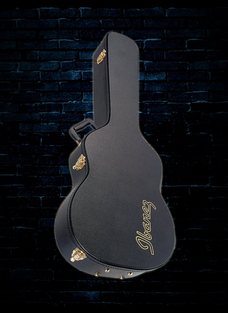 ibanez ac100c