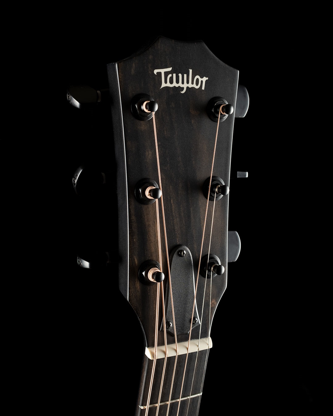 Taylor 214ce DLX LTD Acoustic Guitar - Trans Grey - Huber Breese Music