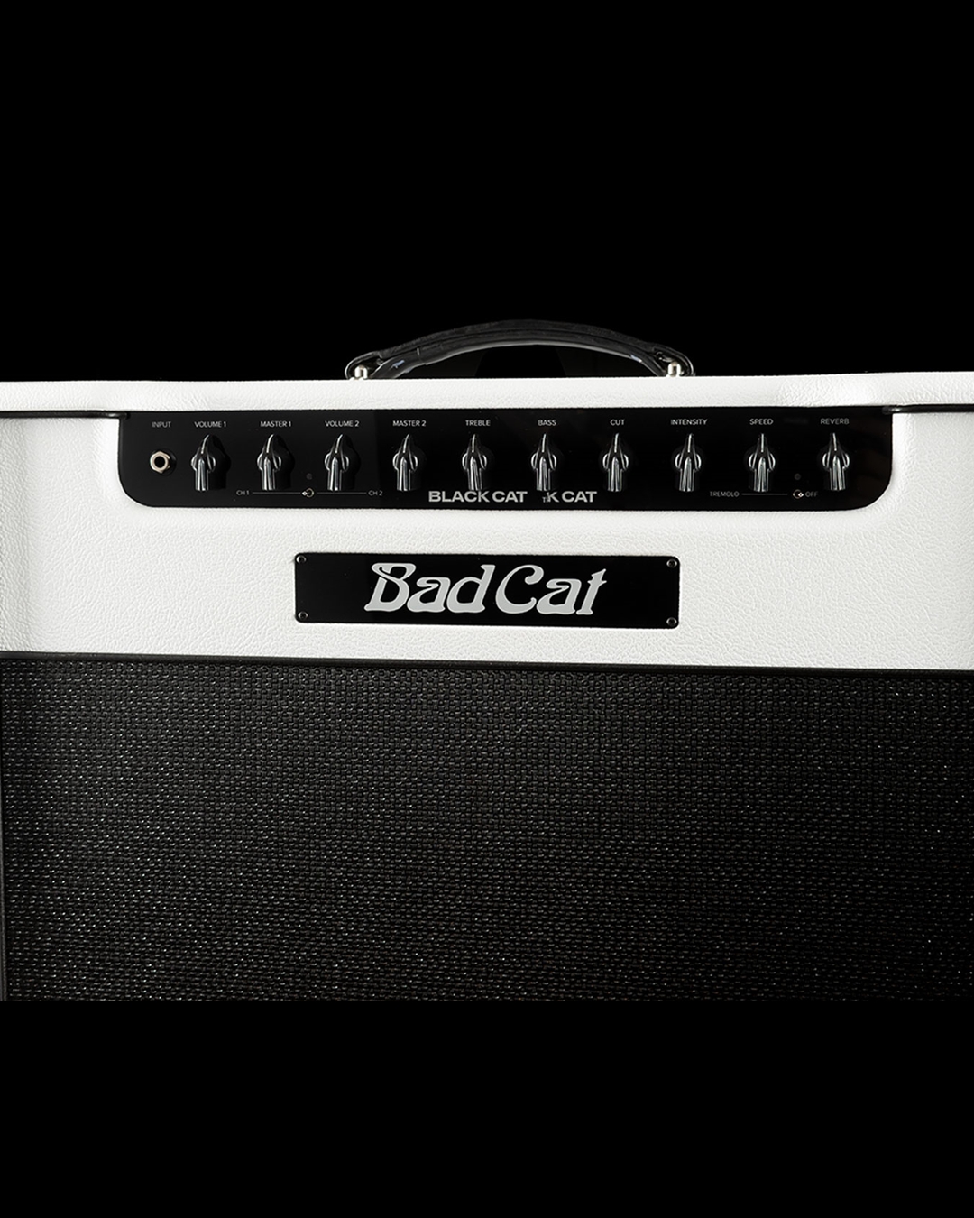 Bad Cat Black Cat - 20 Watt 1x12