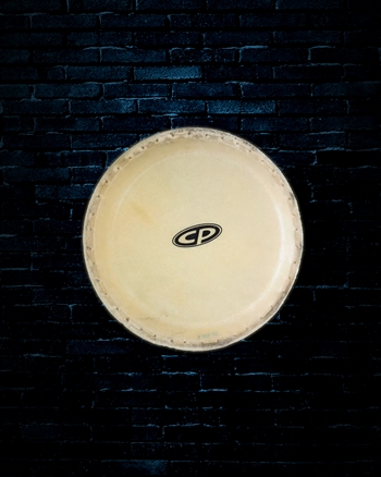 LP 10" Conga Head for CP Series Congas