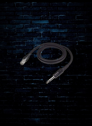 Audio-Technica AT-GcH Wireless Guitar Cable