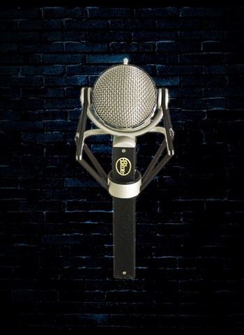 Blue Dragonfly Studio Condenser Microphone
