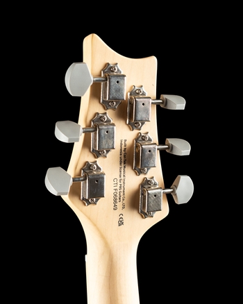 PRS SE Silver Sky Maple - Nylon Blue