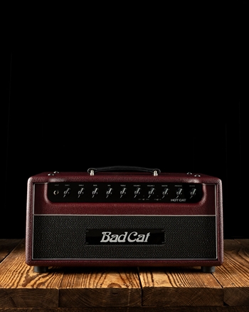 Bad Cat Hot Cat - 45 Watt Guitar Head - Chianti