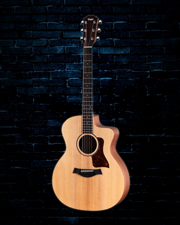 Taylor 14ce - Natural