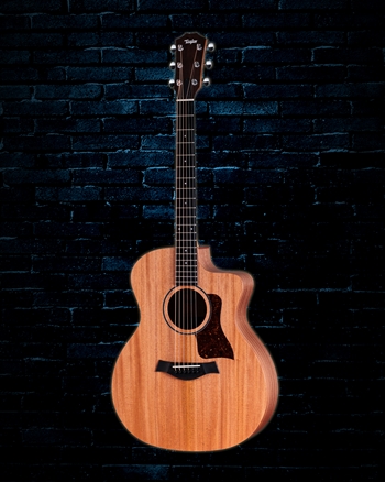 Taylor 24ce - Natural