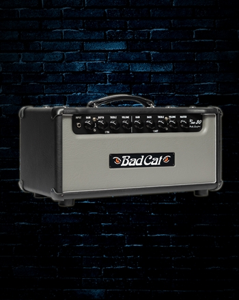 Bad Cat Era 30 - 30 Watt Gutar Head - Gray