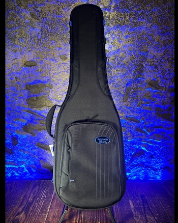 Reunion Blues RBC23E1 Expedition Electric Guitar Case *USED*