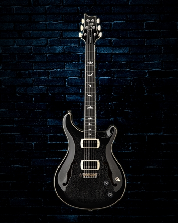 PRS SE Hollowbody Standard - Dog Hair Smokeburst