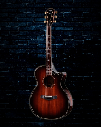 Taylor Builder's Edition 914ce LTD Macassar Ebony - Shaded Edgeburst