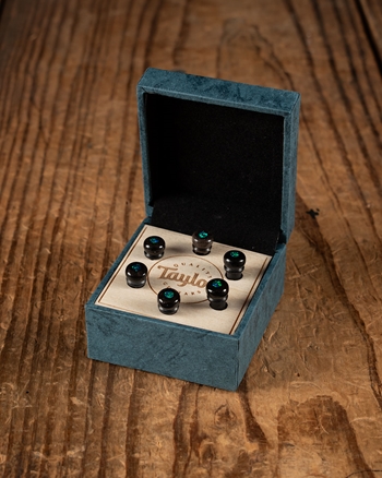 Taylor Custom Bone Bridge Pins - Brown with Green Australian Opal