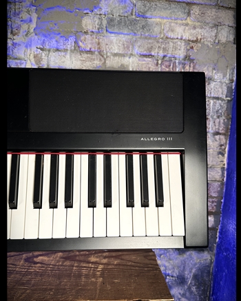 WILLIAMS Allegro III - 88-Key Digital Piano *USED*
