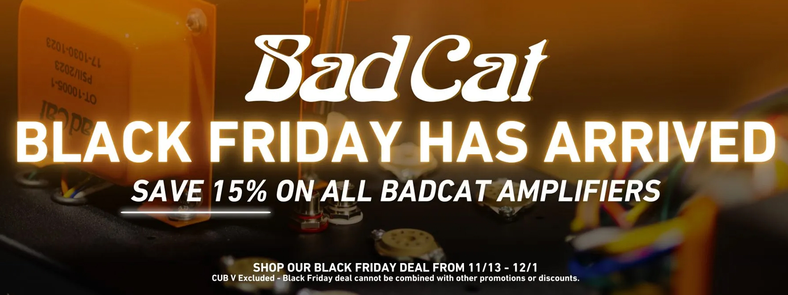 15% off Bad Cat Amps!